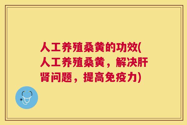 人工养殖桑黄的功效(人工养殖桑黄,解决问题,提高力) 人工养殖桑黄的功效(人工养殖桑黄,解决问题,提高力)