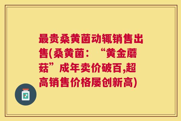 贵桑黄菌动辄销售出售(桑黄菌:“黄金蘑菇”成年卖价破百,超高销售价格屡创新高) 贵桑黄菌动辄销售出售(桑黄菌:“黄金蘑菇”成年卖价破百,超高销售价格屡创新高)