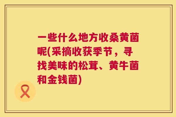 一些什么地方收桑黄菌呢(采摘收获季节,寻找美味的松茸、黄牛菌和金钱菌) 一些什么地方收桑黄菌呢(采摘收获季节,寻找美味的松茸、黄牛菌和金钱菌)
