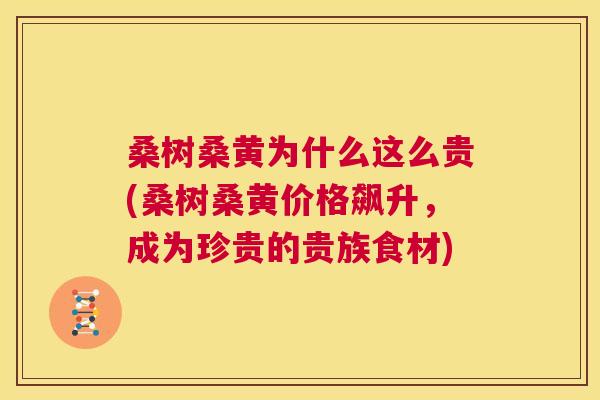 桑树桑黄为什么这么贵(桑树桑黄价格飙升,成为珍贵的贵族食材) 桑树桑黄为什么这么贵(桑树桑黄价格飙升,成为珍贵的贵族食材)