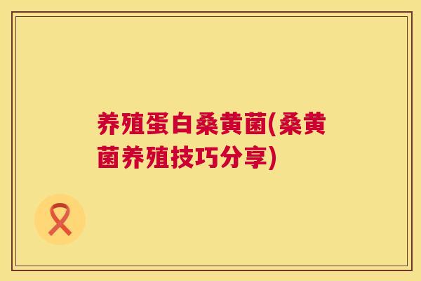 养殖蛋白桑黄菌(桑黄菌养殖技巧分享) 养殖蛋白桑黄菌(桑黄菌养殖技巧分享)