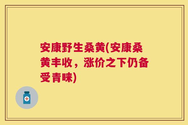安康野生桑黄(安康桑黄丰收,涨价之下仍备受青睐) 安康野生桑黄(安康桑黄丰收,涨价之下仍备受青睐)