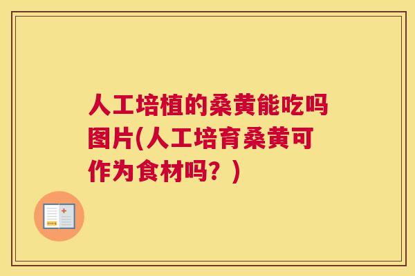 人工培植的桑黄能吃吗图片(人工培育桑黄可作为食材吗?) 人工培植的桑黄能吃吗图片(人工培育桑黄可作为食材吗?)