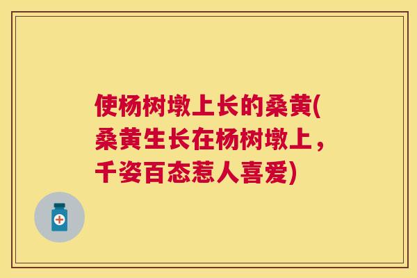 使杨树墩上长的桑黄(桑黄生长在杨树墩上,千姿百态惹人喜爱) 使杨树墩上长的桑黄(桑黄生长在杨树墩上,千姿百态惹人喜爱)