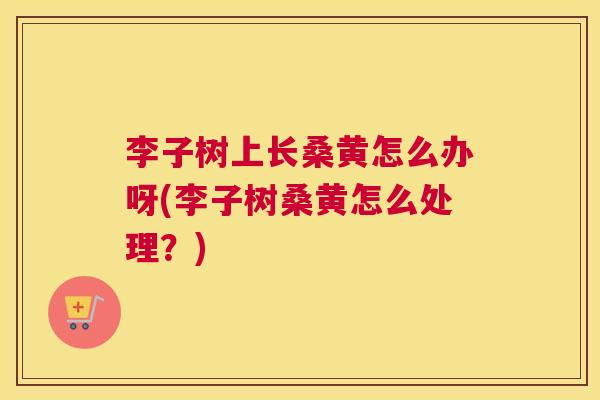 李子树上长桑黄怎么办呀(李子树桑黄怎么处理?) 李子树上长桑黄怎么办呀(李子树桑黄怎么处理?)