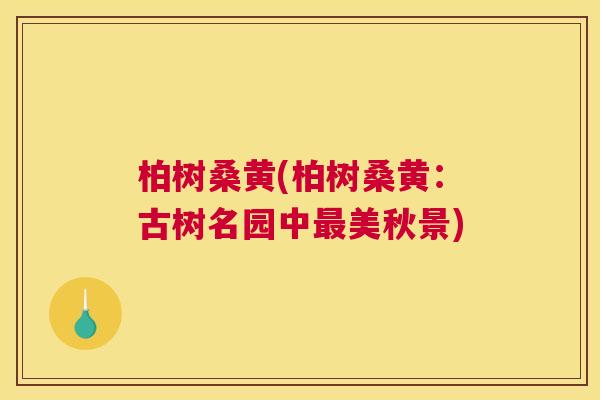 柏树桑黄(柏树桑黄:古树名园中美秋景) 柏树桑黄(柏树桑黄:古树名园中美秋景)