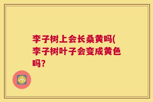 李子树上会长桑黄吗(李子树叶子会变成黄色吗? 李子树上会长桑黄吗(李子树叶子会变成黄色吗?