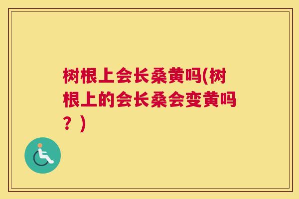 树根上会长桑黄吗(树根上的会长桑会变黄吗?) 树根上会长桑黄吗(树根上的会长桑会变黄吗?)