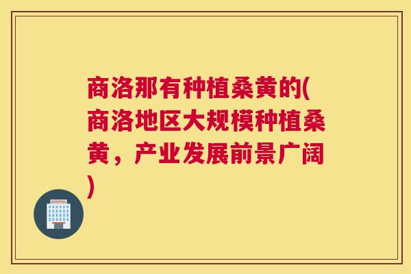 商洛那有种植桑黄的(商洛地区大规模种植桑黄,产业发展前景广阔) 商洛那有种植桑黄的(商洛地区大规模种植桑黄,产业发展前景广阔)