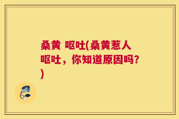 桑黄 (桑黄惹人,你知道原因吗?) 桑黄 (桑黄惹人,你知道原因吗?)