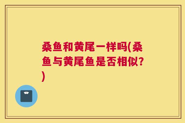 桑鱼和黄尾一样吗(桑鱼与黄尾鱼是否相似?) 桑鱼和黄尾一样吗(桑鱼与黄尾鱼是否相似?)