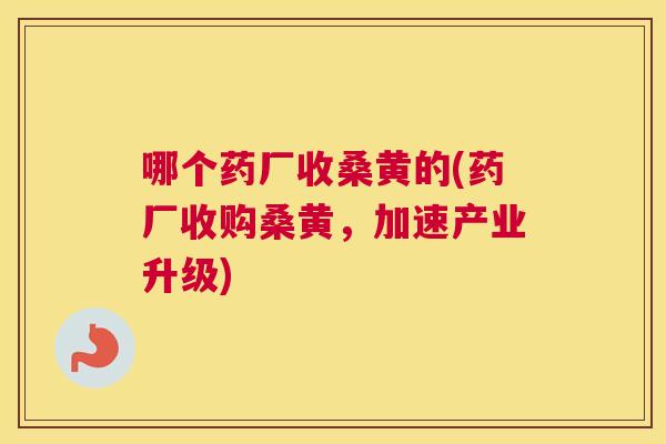 哪个药厂收桑黄的(药厂收购桑黄,加速产业升级) 哪个药厂收桑黄的(药厂收购桑黄,加速产业升级)