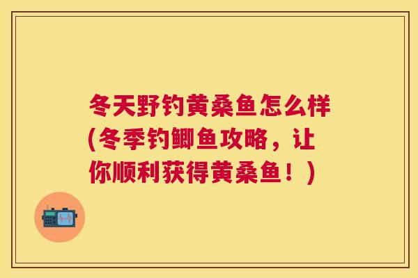 冬天野钓黄桑鱼怎么样(冬季钓鲫鱼攻略，让你顺利获得黄桑鱼！)