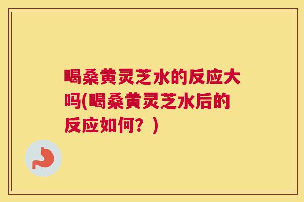 喝桑黄灵芝水的反应大吗(喝桑黄灵芝水后的反应如何?) 喝桑黄灵芝水的反应大吗(喝桑黄灵芝水后的反应如何?)
