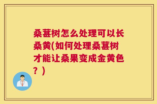 桑葚树怎么处理可以长桑黄(如何处理桑葚树才能让桑果变成金黄色?) 桑葚树怎么处理可以长桑黄(如何处理桑葚树才能让桑果变成金黄色?)