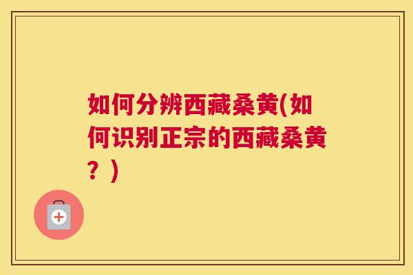 如何分辨西藏桑黄(如何识别正宗的西藏桑黄?) 如何分辨西藏桑黄(如何识别正宗的西藏桑黄?)