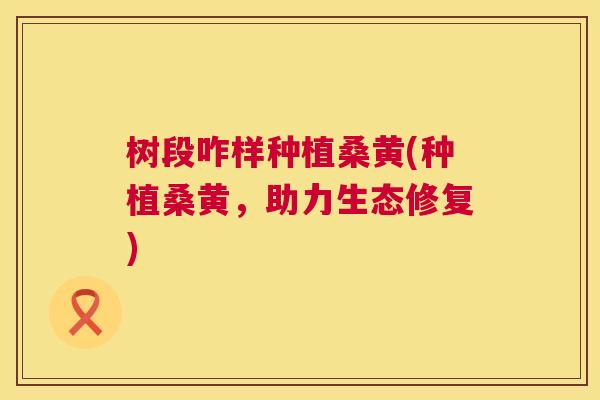 树段咋样种植桑黄(种植桑黄,助力生态修复) 树段咋样种植桑黄(种植桑黄,助力生态修复)