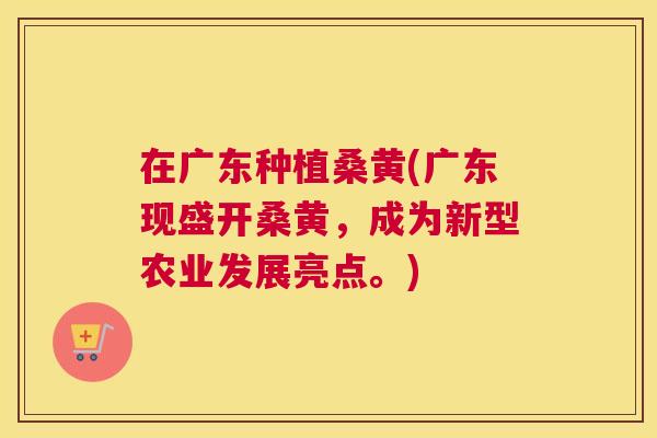 在广东种植桑黄(广东现盛开桑黄,成为新型农业发展亮点。) 在广东种植桑黄(广东现盛开桑黄,成为新型农业发展亮点。)