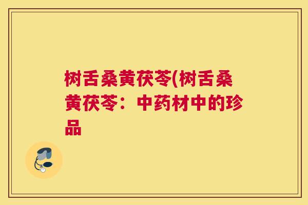 树舌桑黄茯苓(树舌桑黄茯苓:材中的珍品 树舌桑黄茯苓(树舌桑黄茯苓:材中的珍品