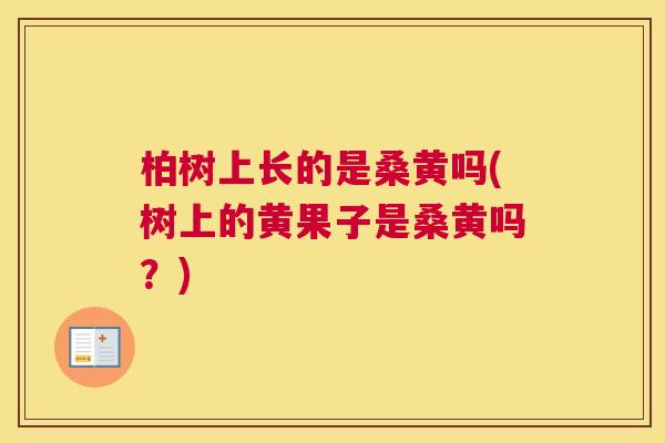 柏树上长的是桑黄吗(树上的黄果子是桑黄吗?) 柏树上长的是桑黄吗(树上的黄果子是桑黄吗?)