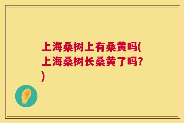 上海桑树上有桑黄吗(上海桑树长桑黄了吗?) 上海桑树上有桑黄吗(上海桑树长桑黄了吗?)