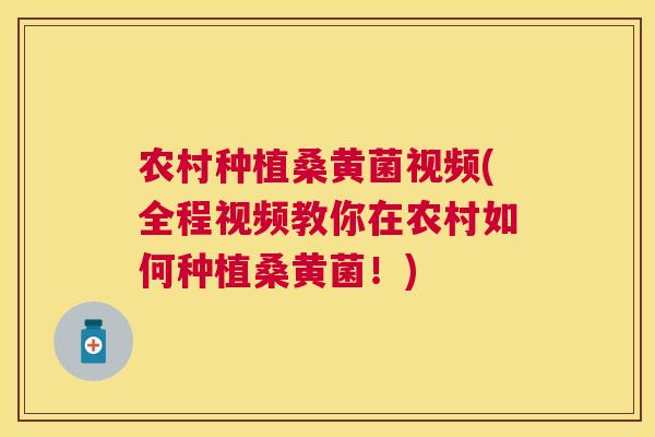 农村种植桑黄菌视频(全程视频教你在农村如何种植桑黄菌!) 农村种植桑黄菌视频(全程视频教你在农村如何种植桑黄菌!)