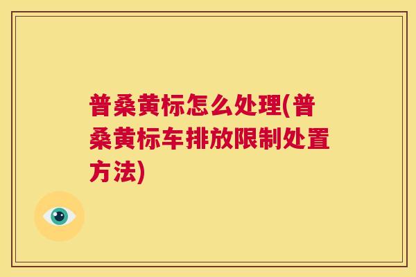 普桑黄标怎么处理(普桑黄标车排放限制处置方法) 普桑黄标怎么处理(普桑黄标车排放限制处置方法)