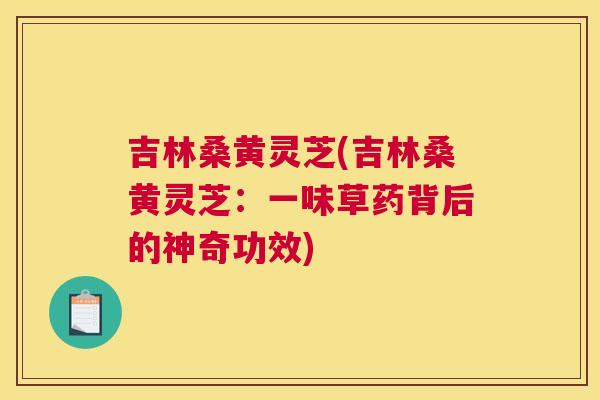 吉林桑黄灵芝(吉林桑黄灵芝:一味草药背后的神奇功效) 吉林桑黄灵芝(吉林桑黄灵芝:一味草药背后的神奇功效)