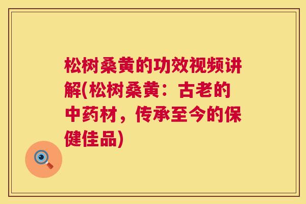 松树桑黄的功效视频讲解(松树桑黄:古老的材,传承至今的保健佳品) 松树桑黄的功效视频讲解(松树桑黄:古老的材,传承至今的保健佳品)
