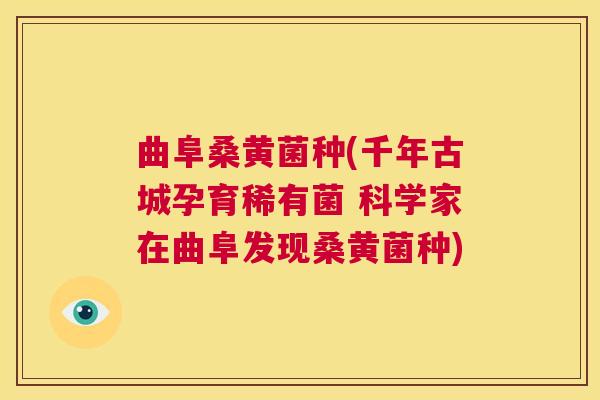 曲阜桑黄菌种(千年古城孕育稀有菌 科学家在曲阜发现桑黄菌种) 曲阜桑黄菌种(千年古城孕育稀有菌 科学家在曲阜发现桑黄菌种)