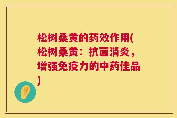 松树桑黄的作用(松树桑黄:,增强力的佳品) 松树桑黄的作用(松树桑黄:,增强力的佳品)
