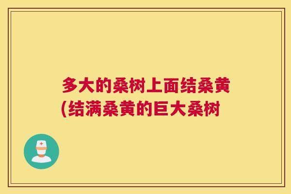 多大的桑树上面结桑黄(结满桑黄的巨大桑树 多大的桑树上面结桑黄(结满桑黄的巨大桑树