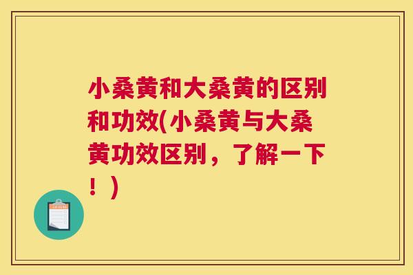 小桑黄和大桑黄的区别和功效(小桑黄与大桑黄功效区别,了解一下!) 小桑黄和大桑黄的区别和功效(小桑黄与大桑黄功效区别,了解一下!)