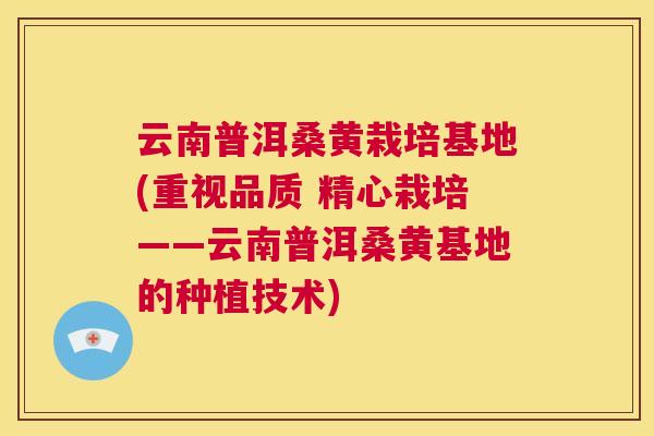 云南普洱桑黄栽培基地(重视品质 精心栽培——云南普洱桑黄基地的种植技术)