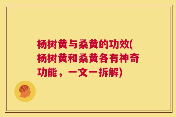 杨树黄与桑黄的功效(杨树黄和桑黄各有神奇功能,一文一拆解) 杨树黄与桑黄的功效(杨树黄和桑黄各有神奇功能,一文一拆解)