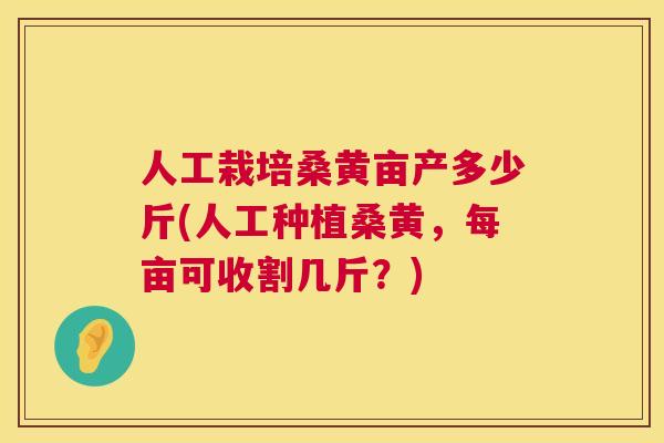 人工栽培桑黄亩产多少斤(人工种植桑黄,每亩可收割几斤?) 人工栽培桑黄亩产多少斤(人工种植桑黄,每亩可收割几斤?)