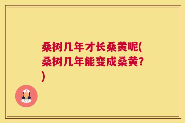 桑树几年才长桑黄呢(桑树几年能变成桑黄?) 桑树几年才长桑黄呢(桑树几年能变成桑黄?)