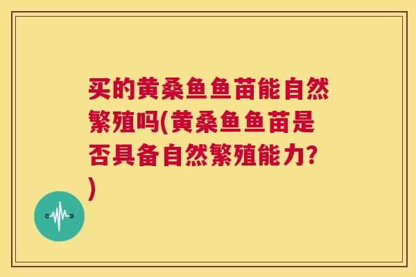 买的黄桑鱼鱼苗能自然繁殖吗(黄桑鱼鱼苗是否具备自然繁殖能力?) 买的黄桑鱼鱼苗能自然繁殖吗(黄桑鱼鱼苗是否具备自然繁殖能力?)