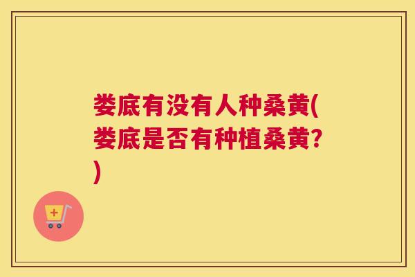 娄底有没有人种桑黄(娄底是否有种植桑黄?) 娄底有没有人种桑黄(娄底是否有种植桑黄?)