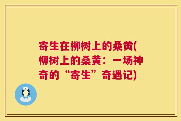 寄生在柳树上的桑黄(柳树上的桑黄:一场神奇的“寄生”奇遇记) 寄生在柳树上的桑黄(柳树上的桑黄:一场神奇的“寄生”奇遇记)