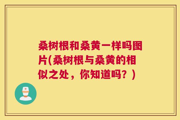 桑树根和桑黄一样吗图片(桑树根与桑黄的相似之处,你知道吗?) 桑树根和桑黄一样吗图片(桑树根与桑黄的相似之处,你知道吗?)