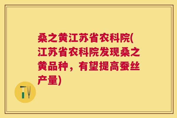 桑之黄江苏省农科院(江苏省农科院发现桑之黄品种,有望提高蚕丝产量) 桑之黄江苏省农科院(江苏省农科院发现桑之黄品种,有望提高蚕丝产量)
