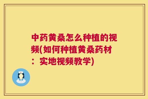 黄桑怎么种植的视频(如何种植黄桑药材:实地视频教学) 黄桑怎么种植的视频(如何种植黄桑药材:实地视频教学)