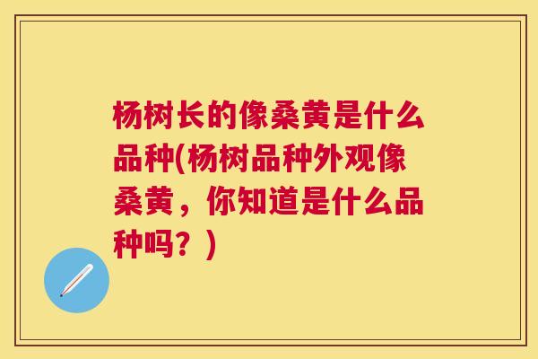 杨树长的像桑黄是什么品种(杨树品种外观像桑黄,你知道是什么品种吗?) 杨树长的像桑黄是什么品种(杨树品种外观像桑黄,你知道是什么品种吗?)