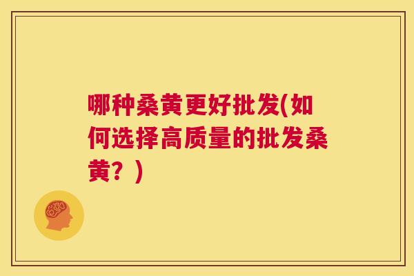 哪种桑黄更好批发(如何选择高质量的批发桑黄?) 哪种桑黄更好批发(如何选择高质量的批发桑黄?)