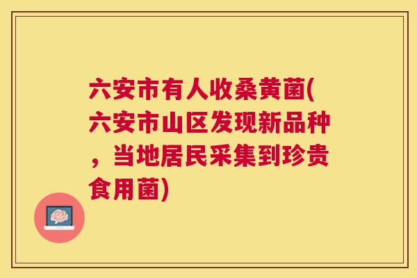 六安市有人收桑黄菌(六安市山区发现新品种,当地居民采集到珍贵食用菌) 六安市有人收桑黄菌(六安市山区发现新品种,当地居民采集到珍贵食用菌)