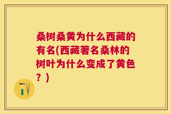 桑树桑黄为什么西藏的有名(西藏著名桑林的树叶为什么变成了黄色?) 桑树桑黄为什么西藏的有名(西藏著名桑林的树叶为什么变成了黄色?)