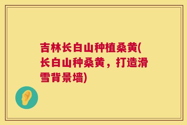 吉林长白山种植桑黄(长白山种桑黄,打造滑雪背景墙) 吉林长白山种植桑黄(长白山种桑黄,打造滑雪背景墙)