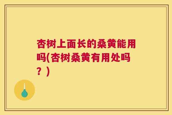 杏树上面长的桑黄能用吗(杏树桑黄有用处吗?) 杏树上面长的桑黄能用吗(杏树桑黄有用处吗?)