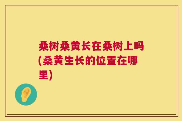 桑树桑黄长在桑树上吗(桑黄生长的位置在哪里) 桑树桑黄长在桑树上吗(桑黄生长的位置在哪里)